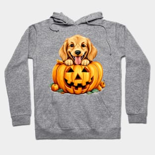 Golden Retriever Dog inside Pumpkin #4 Hoodie